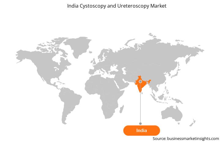 geography/india-cystoscopy-and-ureteroscopy-market-geography.webp