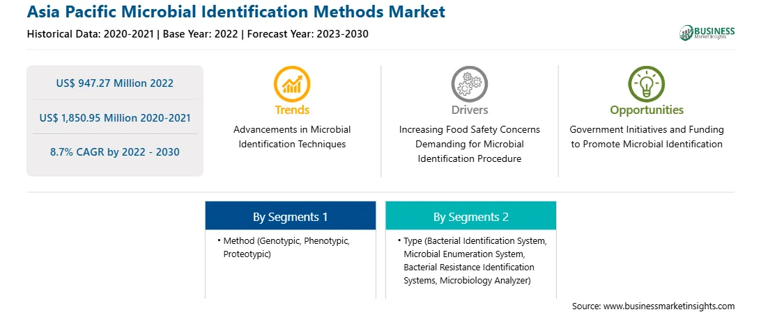 strategic-framework/asia-pacific-microbial-identification-methods-market-strategic-framework.webp