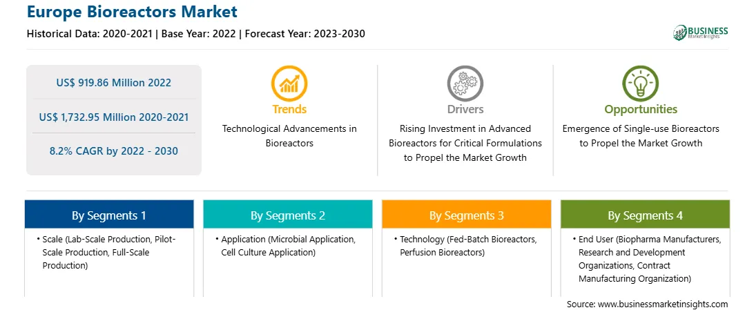 strategic-framework/europe-bioreactors-market-strategic-framework.webp