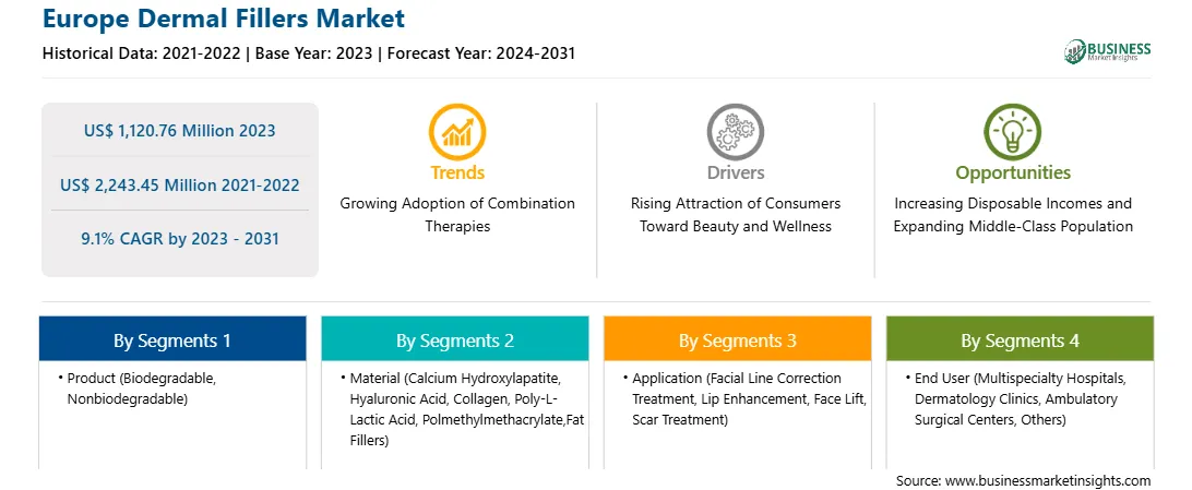 strategic-framework/europe-dermal-fillers-market-strategic-framework.webp