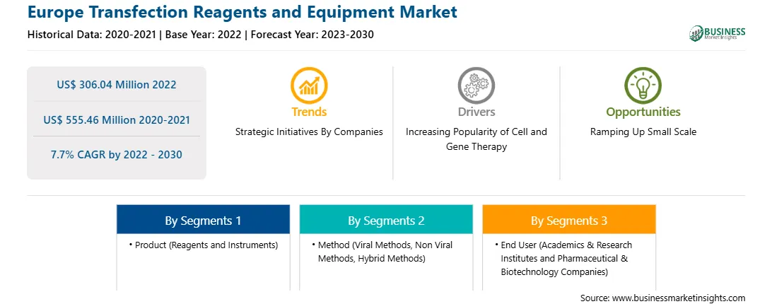 strategic-framework/europe-transfection-reagents-and-equipment-market-strategic-framework.webp