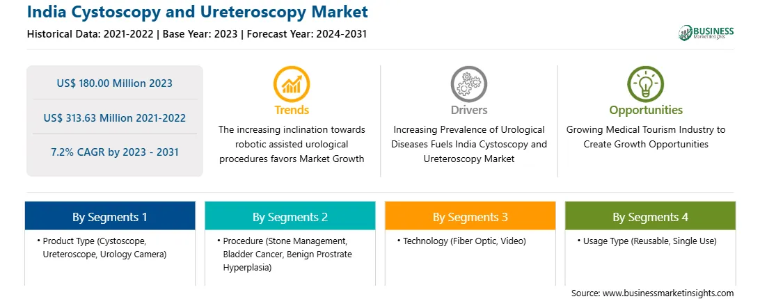 strategic-framework/india-cystoscopy-and-ureteroscopy-market-strategic-framework.webp