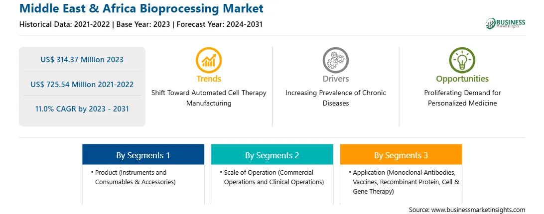 strategic-framework/middle-east-and-africa-bioprocessing-market-strategic-framework.webp