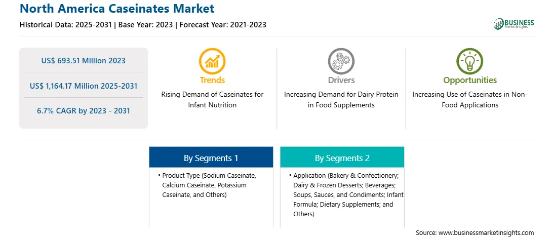 strategic-framework/north-america-caseinates-market-strategic-framework.webp