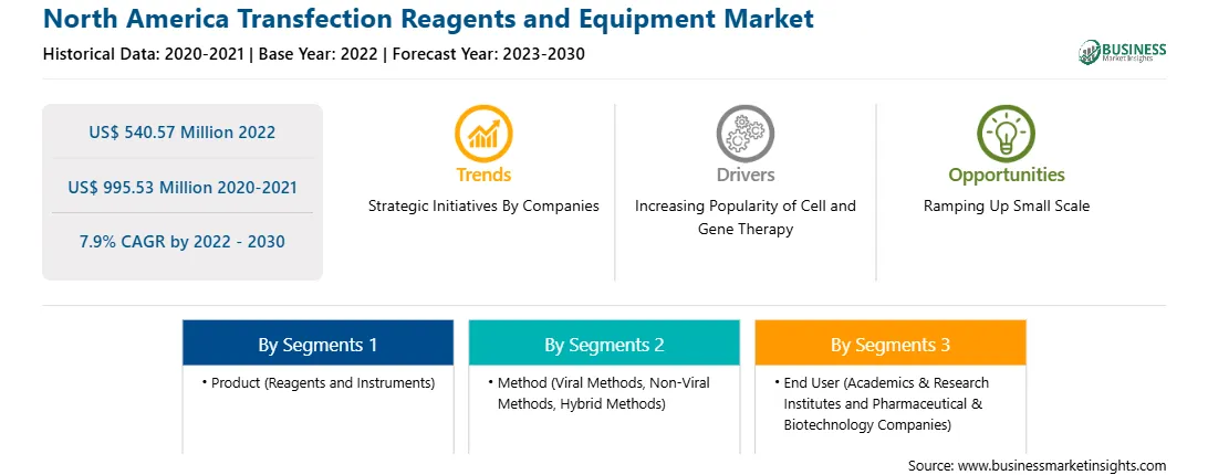 strategic-framework/north-america-transfection-reagents-and-equipment-market-strategic-framework.webp