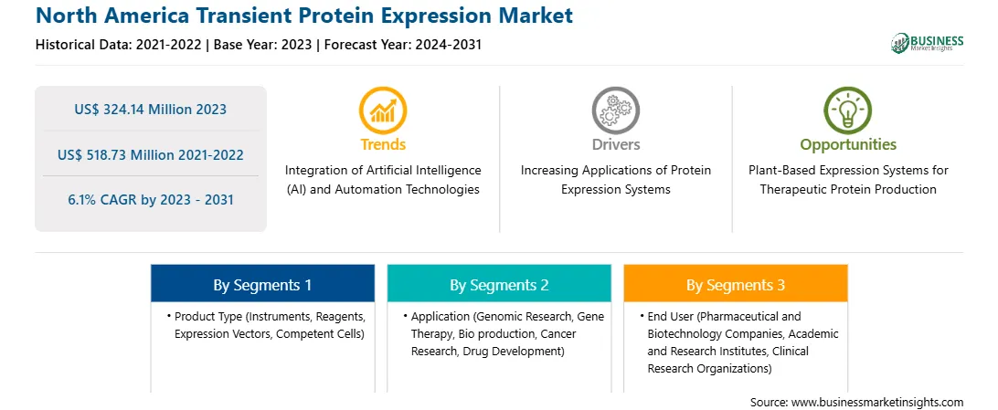 strategic-framework/north-america-transient-protein-expression-market-strategic-framework.webp