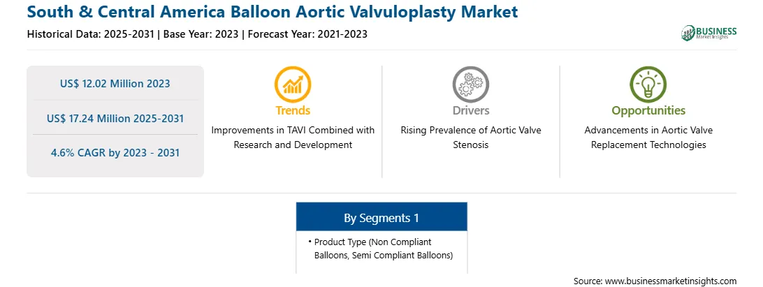 strategic-framework/south-and-central-america-balloon-aortic-valvuloplasty-market-strategic-framework.webp