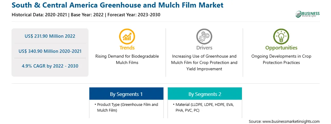 strategic-framework/south-and-central-america-greenhouse-and-mulch-film-market-strategic-framework.webp